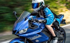 情感的禁区日本在线观看免费